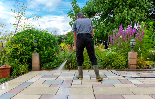 Best Driveway Pressure Washing  in Pond Creek, OK